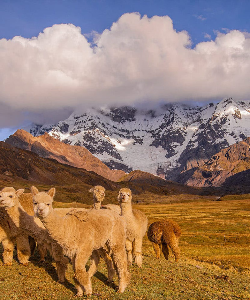 Ausangate Mountain Trek