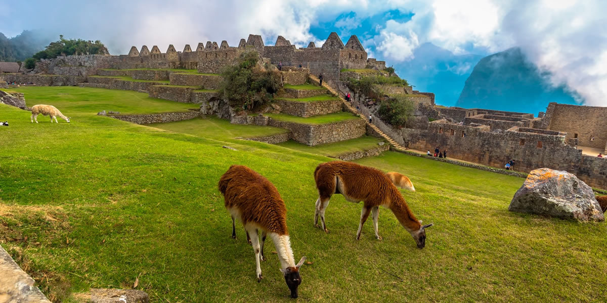 Machu Picchu